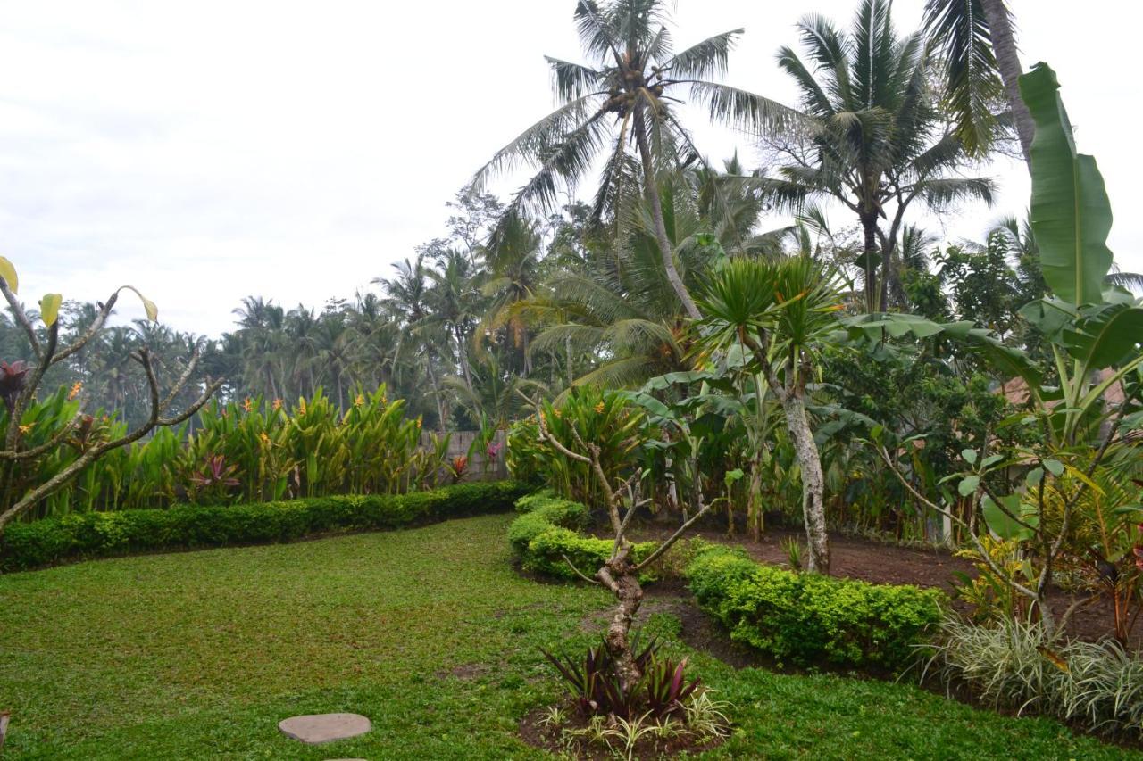 Buda Cottage Ubud Eksteriør billede