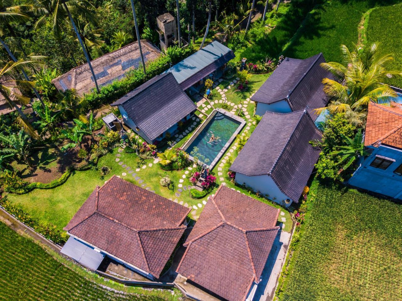 Buda Cottage Ubud Eksteriør billede